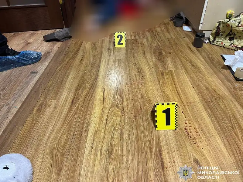 У Миколаєві чоловік убив матір і поранив її подругу: суд обрав запобіжний захід