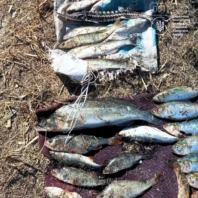 На Миколаївщині затримали браконьєра, який завдав природі збитків на понад 220 тисяч гривень