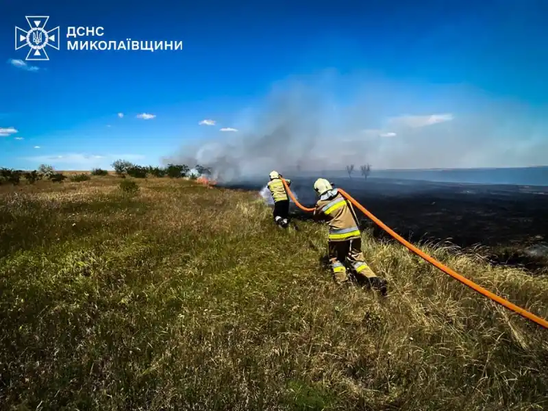 Спека, обстріли та вогонь: на Миколаївщині за добу врятували сім будинків і зупинили 15 гектарів пожеж