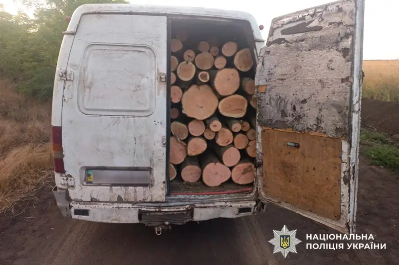 На Миколаївщині затримали групу “чорних лісорубів” з мільйонними збитками для природи