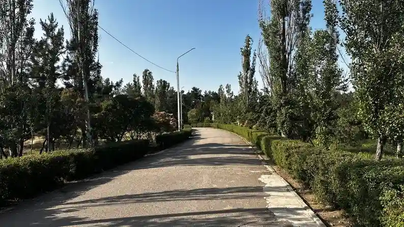 Від дач Потьомкіна до паркової памʼятки: як змінювався миколаївський парк “Ліски”