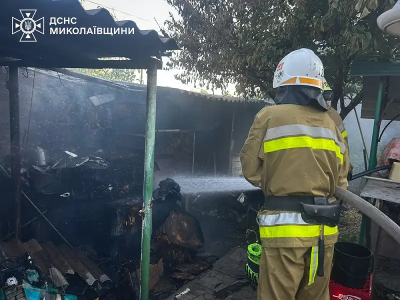 Масштабні пожежі на Миколаївщині: за добу ліквідовано 28 загорянь, одну спричинила дронова атака